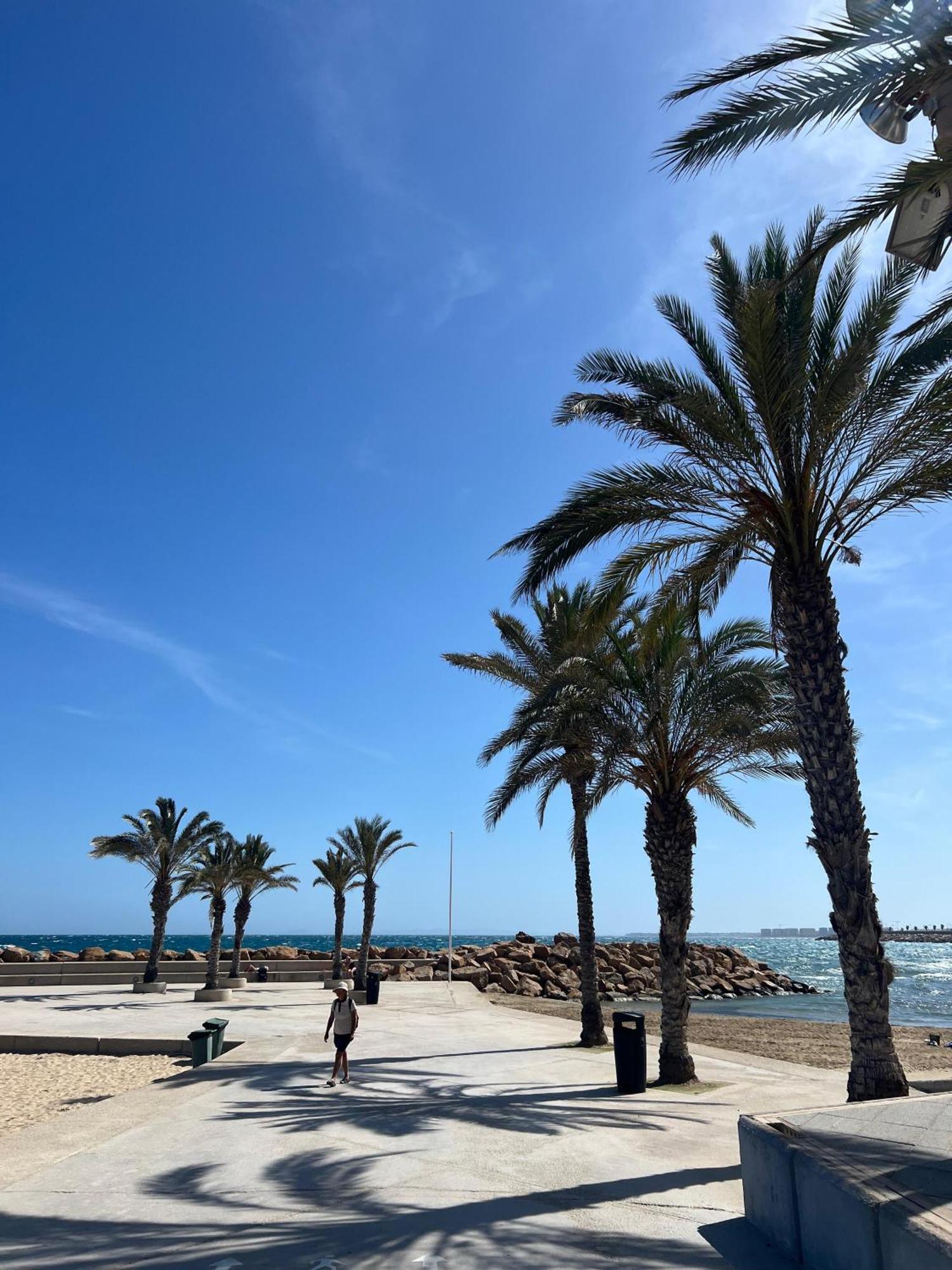Appartement Torrevieja Alicante Buitenkant foto