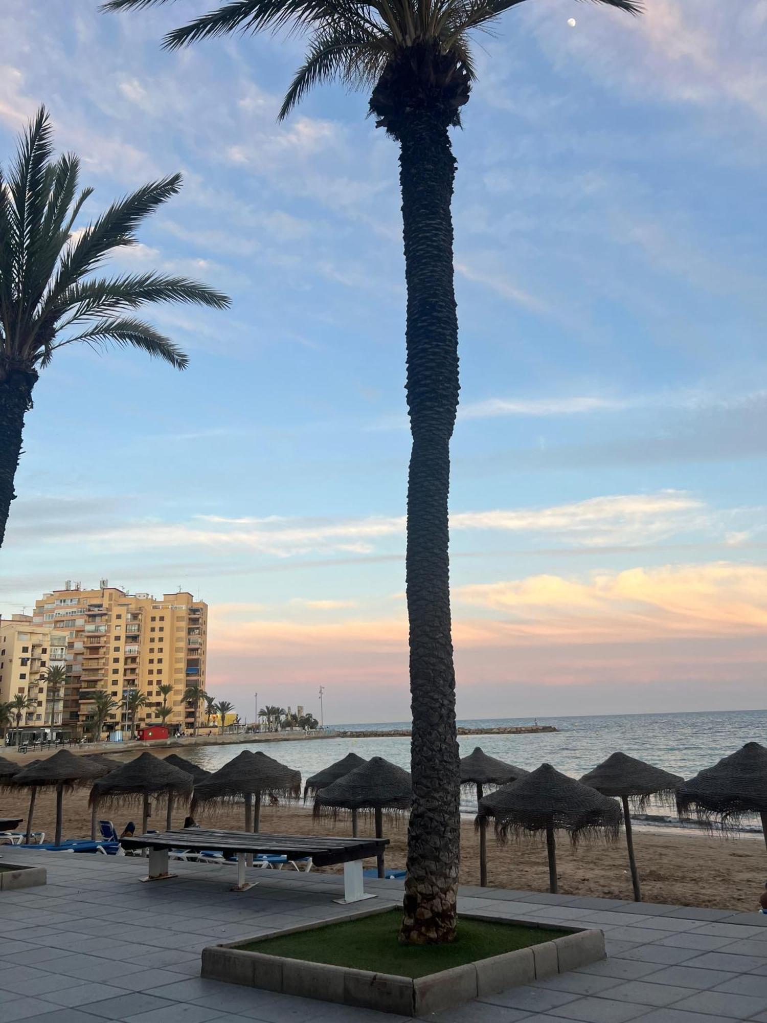 Appartement Torrevieja Alicante Buitenkant foto